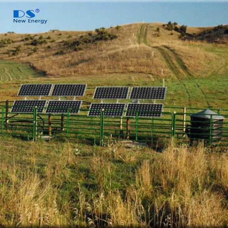 1.2KW vodna črpalka s 750W sončne oskrbe za zalivanje prosto živečih živali